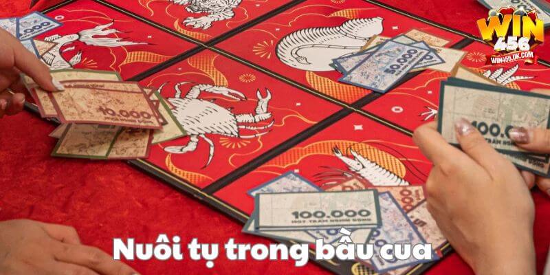 Đặt cược theo số đông - phương pháp chơi bầu cua Win456 phổ biến.