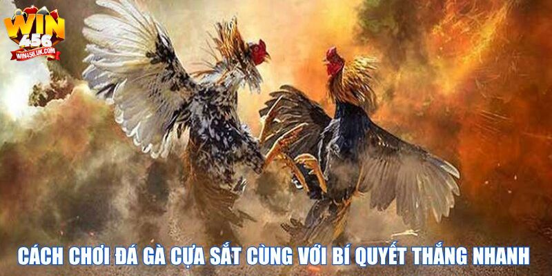Nắm rõ quy luật đá gà cựa sắt Win456 để luôn thành công.