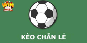 Kèo chẵn lẻ - Bí kíp bắt kèo thắng đậm từ dân chơi tại Win456