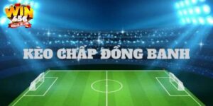 Kèo chấp đồng banh Win456 và bí kíp đặt cược chỉ cao thủ biết