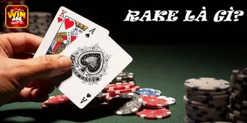 Rake Poker là gì? Hiểu rõ về Rake trên bàn cược của Win456