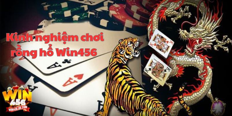 Rồng hổ Win456 là game bài đỉnh cao không thể bỏ lỡ.