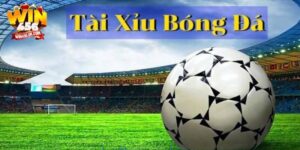 Tài xỉu trong bóng đá – Cá cược trực tuyến tỷ lệ cao tại Win456