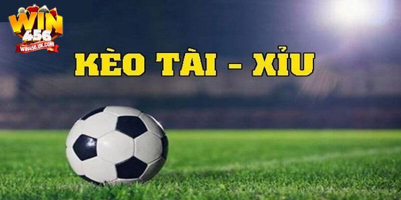 Cách chơi tài xỉu trong bóng đá tại Win456 vô cùng đơn giản.
