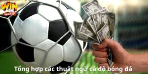 Tổng hợp các thuật ngữ cá độ bóng đá dành cho newbie Win456