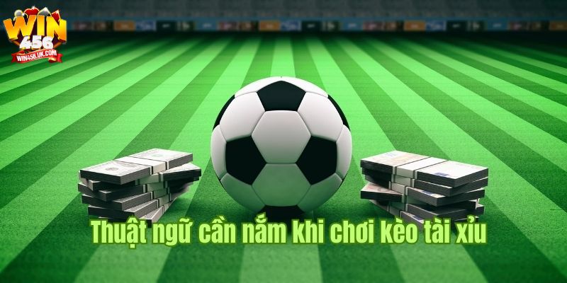 Một số thuật ngữ cá độ bóng đá cơ bản của kèo tài xỉu Win456.
