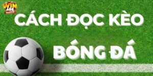 Cách đọc kèo bóng đá siêu dễ dành cho tân thủ tại Win456