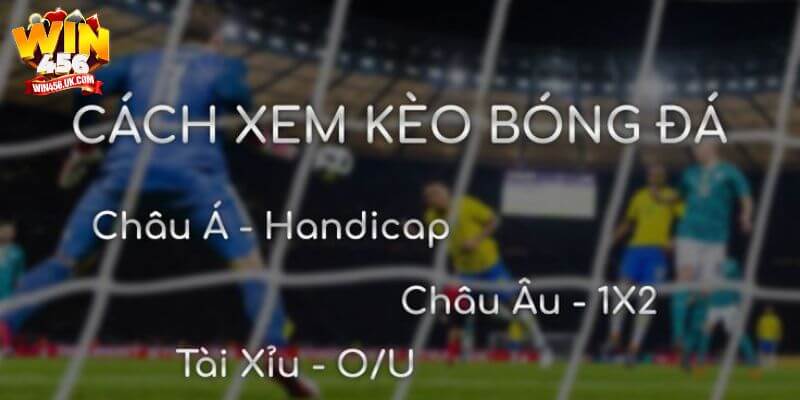 Áp dụng cách đọc kèo bóng đá sẽ giúp người chơi dễ dàng chiến thắng.